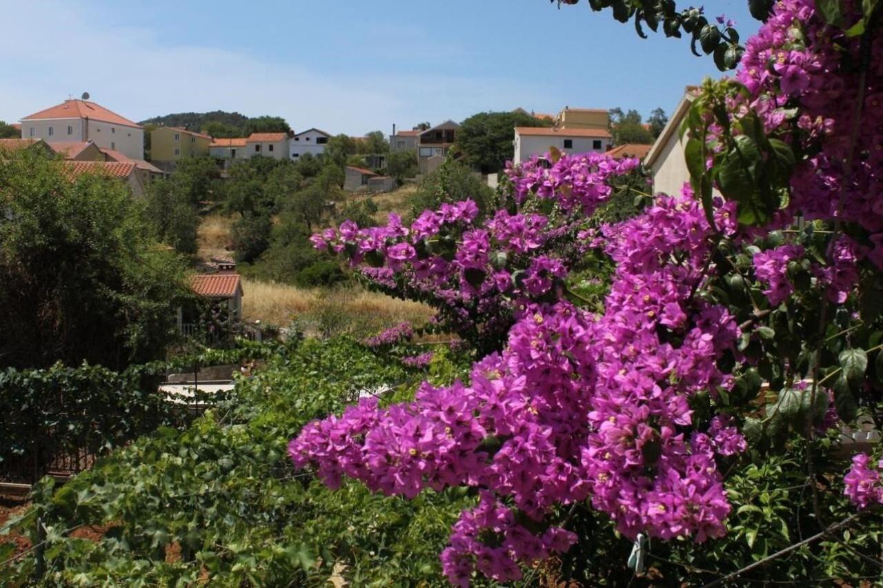 Ralje Apartament Sali